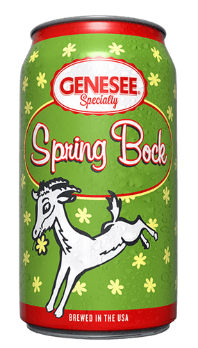 A can of Genesee Spring Bock